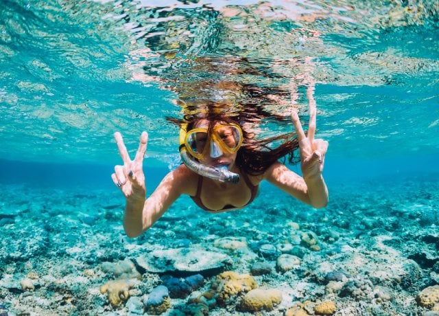 basic travel insurance